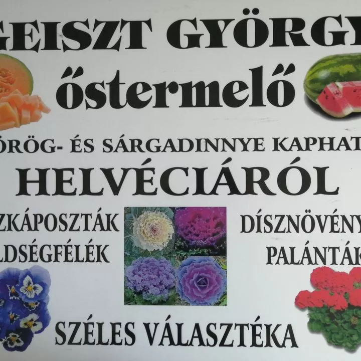 Profilkép