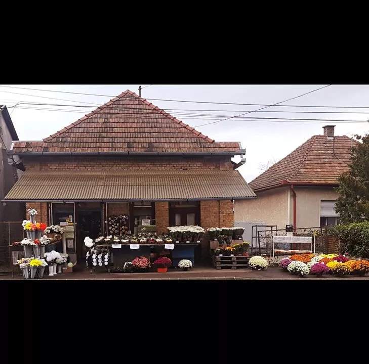 Profilkép
