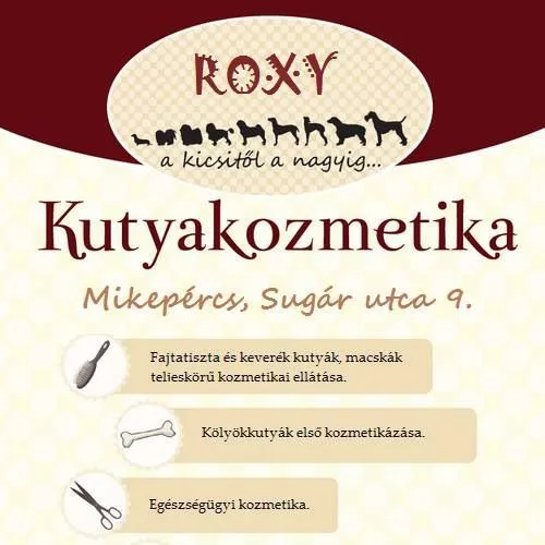 Profilkép