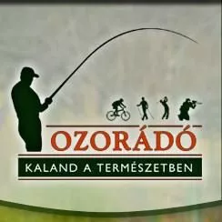 Profilkép