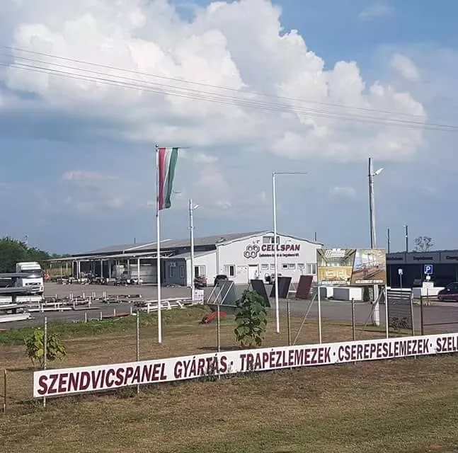 Profilkép