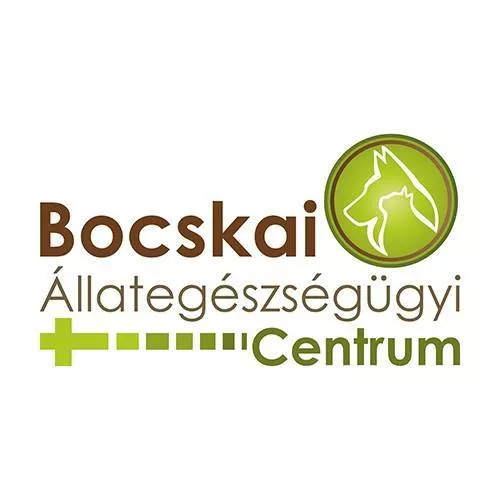 Profilkép
