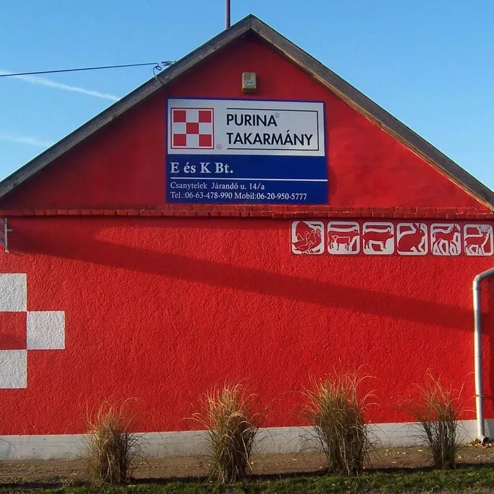 Profilkép
