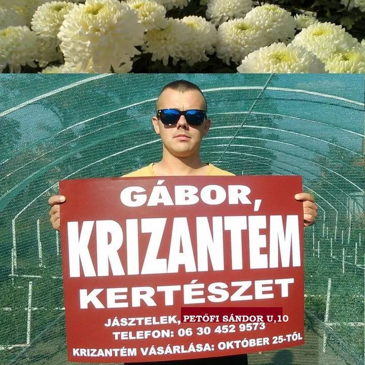 Profilkép