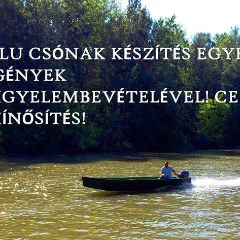 Profilkép