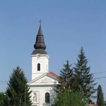 Profilkép