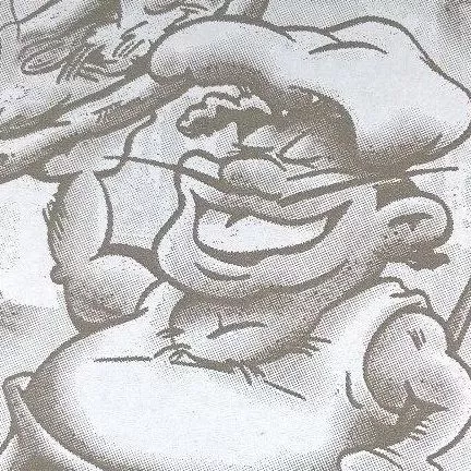 Profilkép