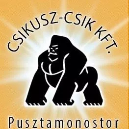 Profilkép