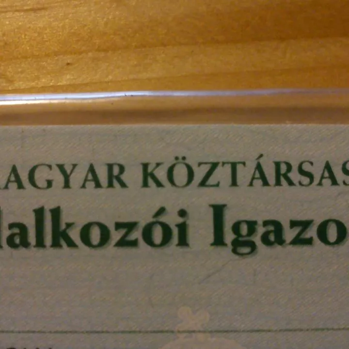 Profilkép