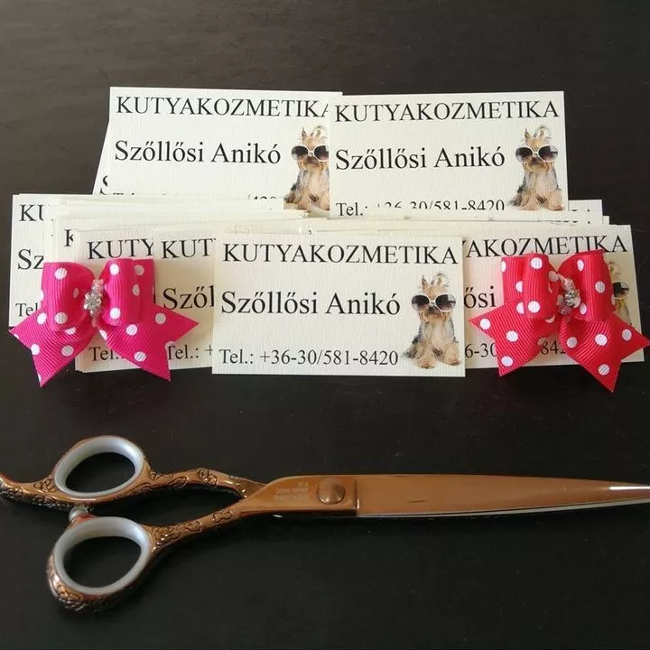 Profilkép
