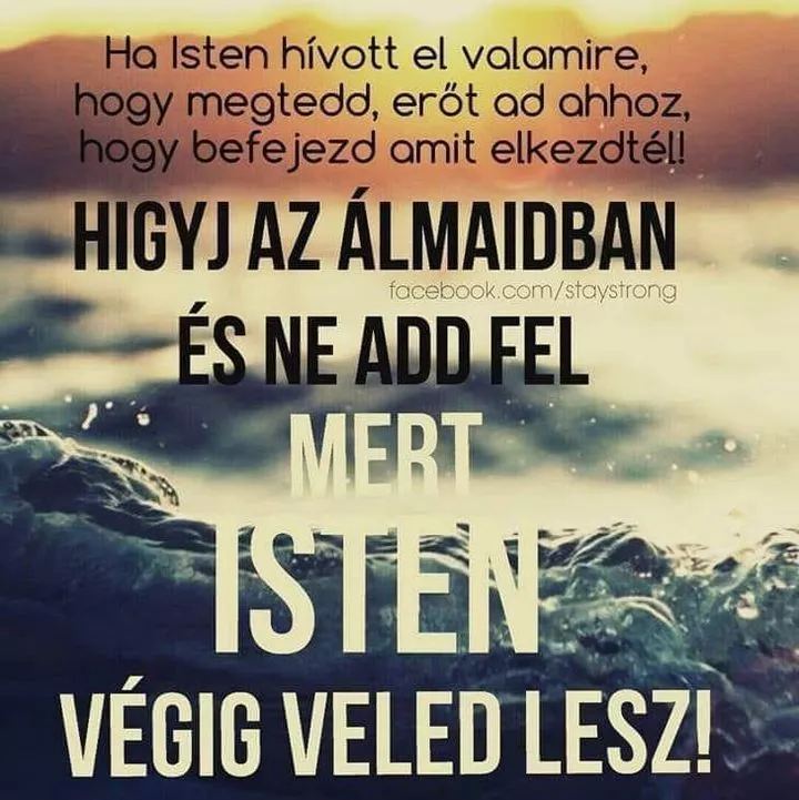 Profilkép