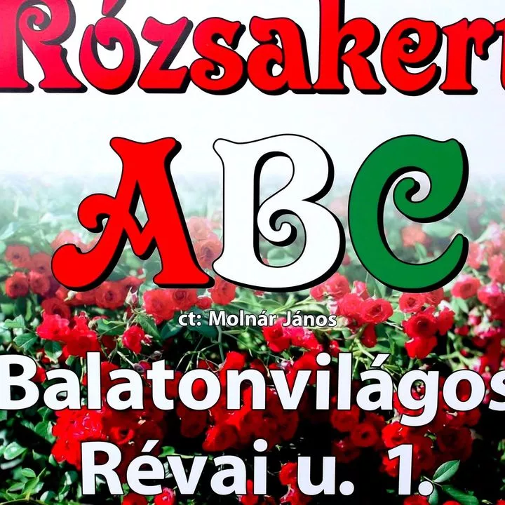 Profilkép