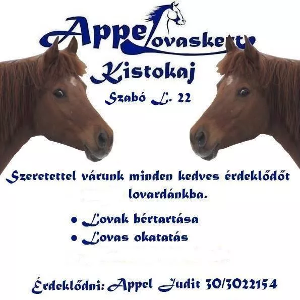 Profilkép
