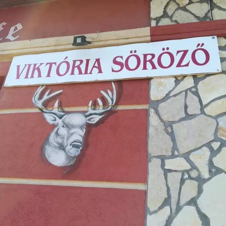 Profilkép