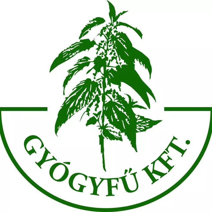 Profilkép
