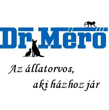 Profilkép