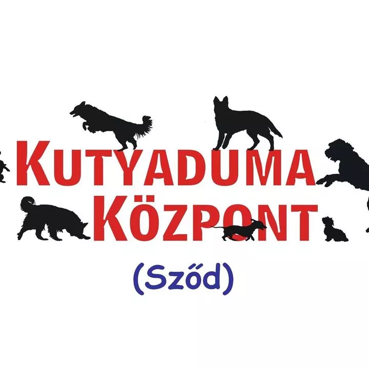 Profilkép