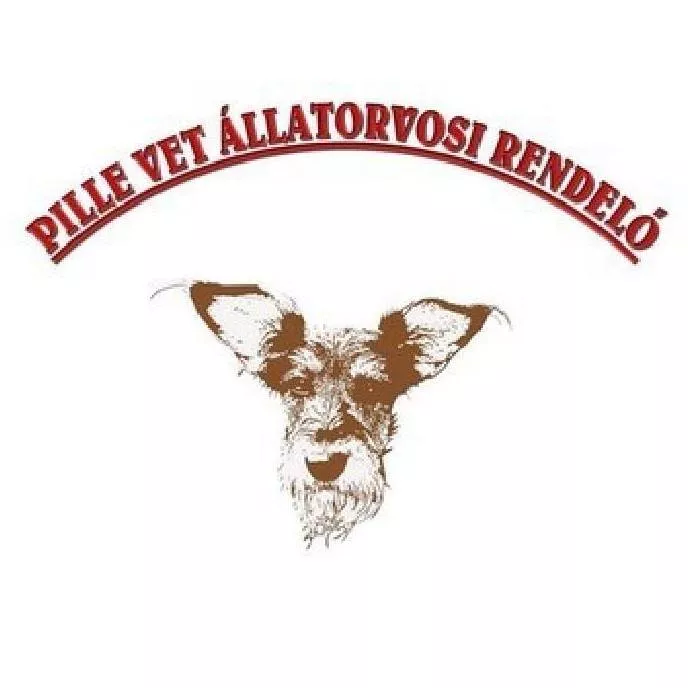 Profilkép
