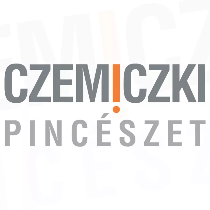 Profilkép