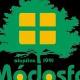 Profilkép