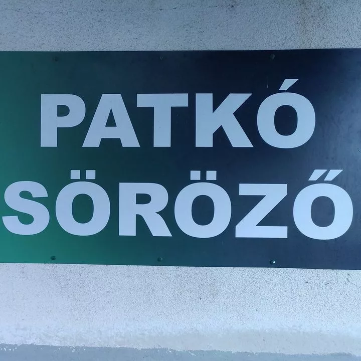 Profilkép