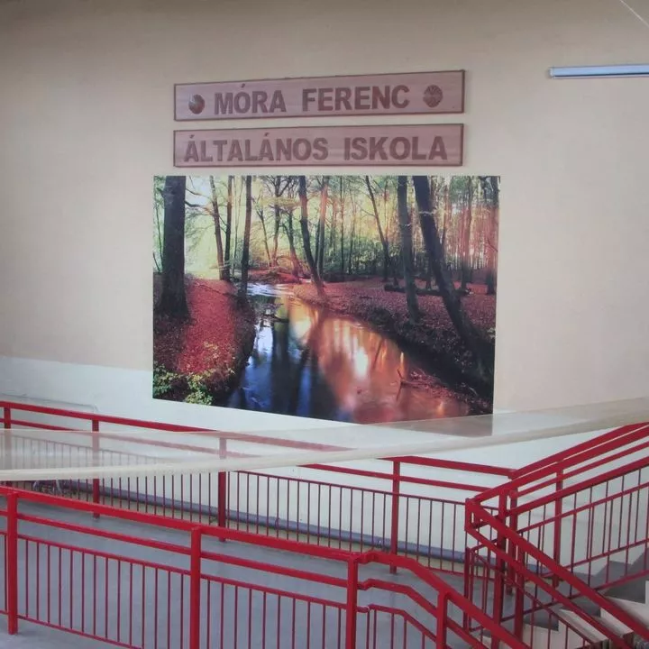 Profilkép