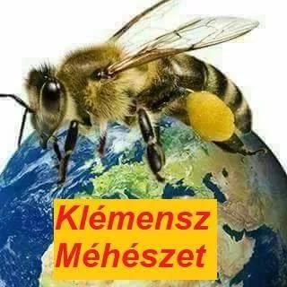 Profilkép