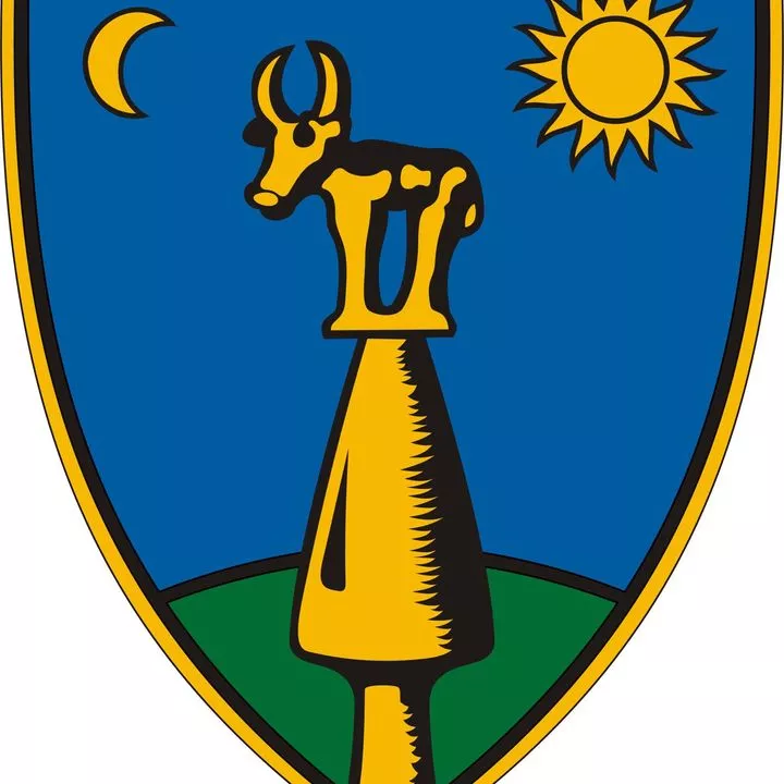 Profilkép