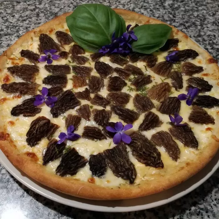 Profilkép