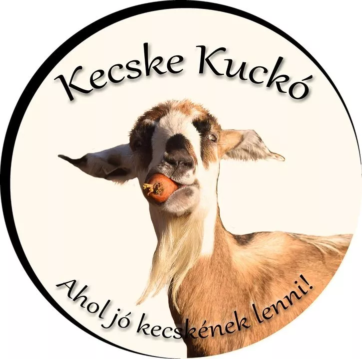 Profilkép