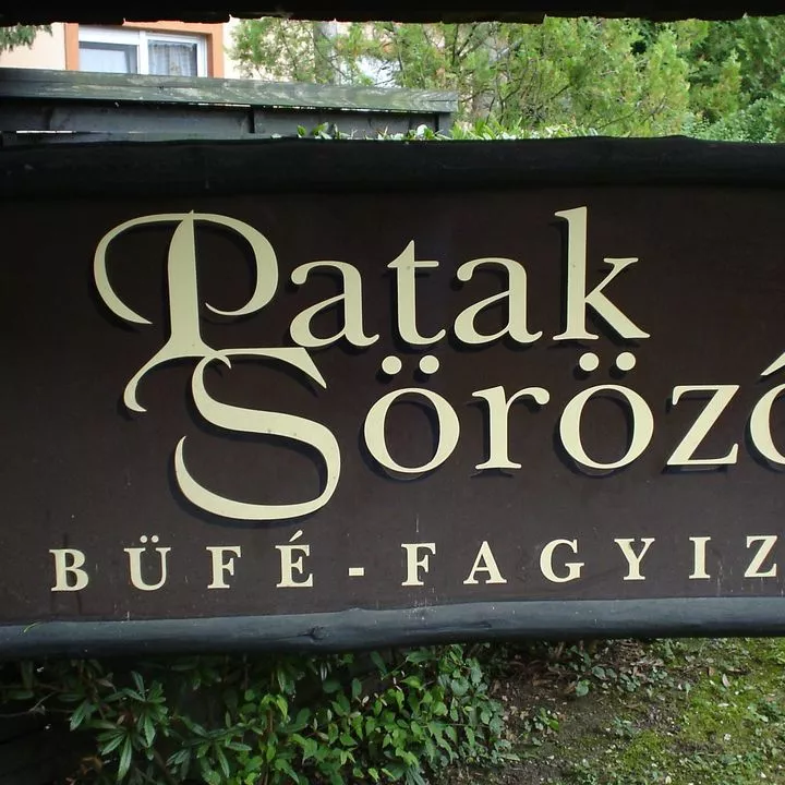 Profilkép