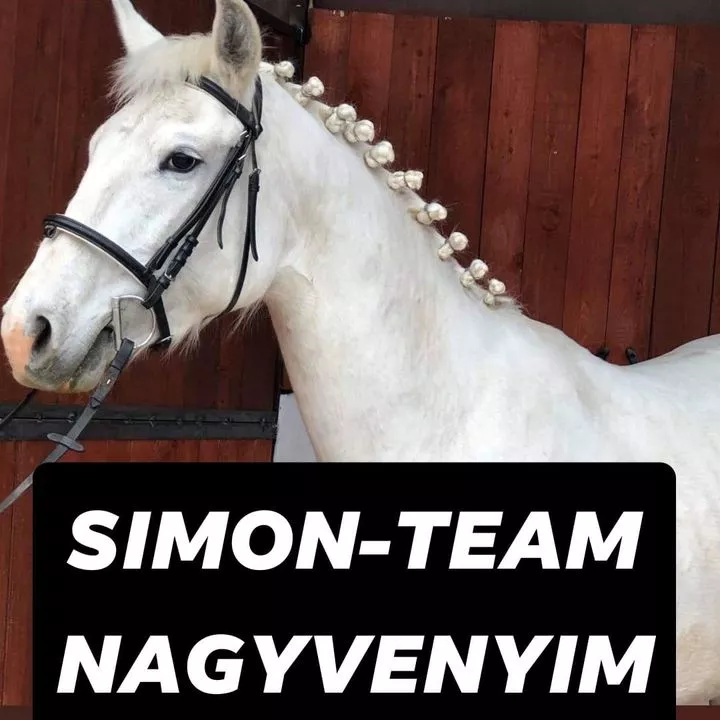 Profilkép