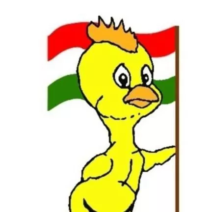 Profilkép