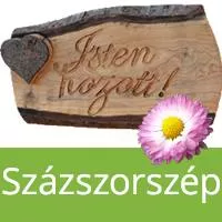 Profilkép