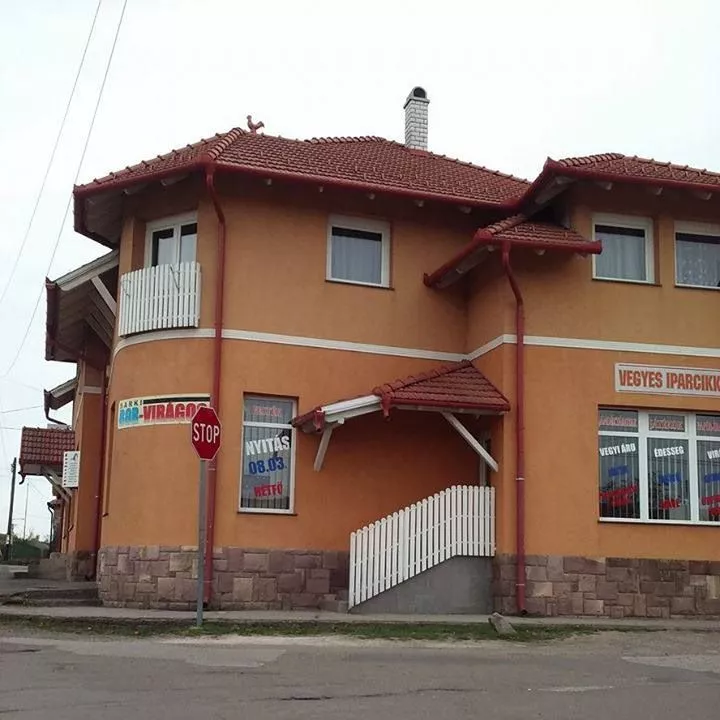 Profilkép