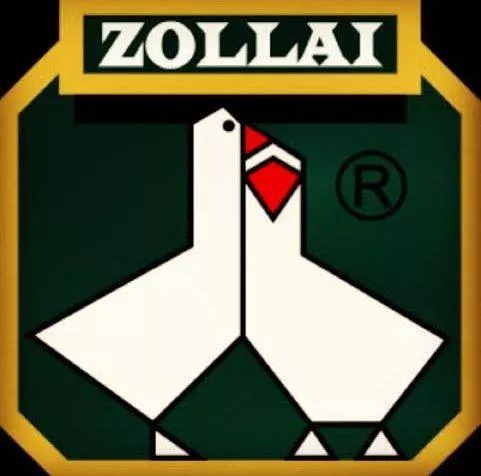 Profilkép