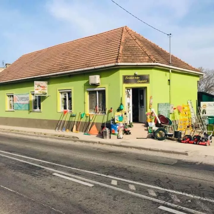 Profilkép