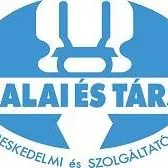 Profilkép