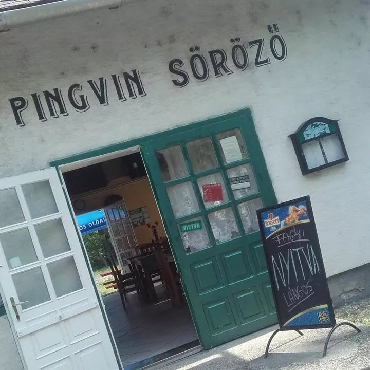 Profilkép