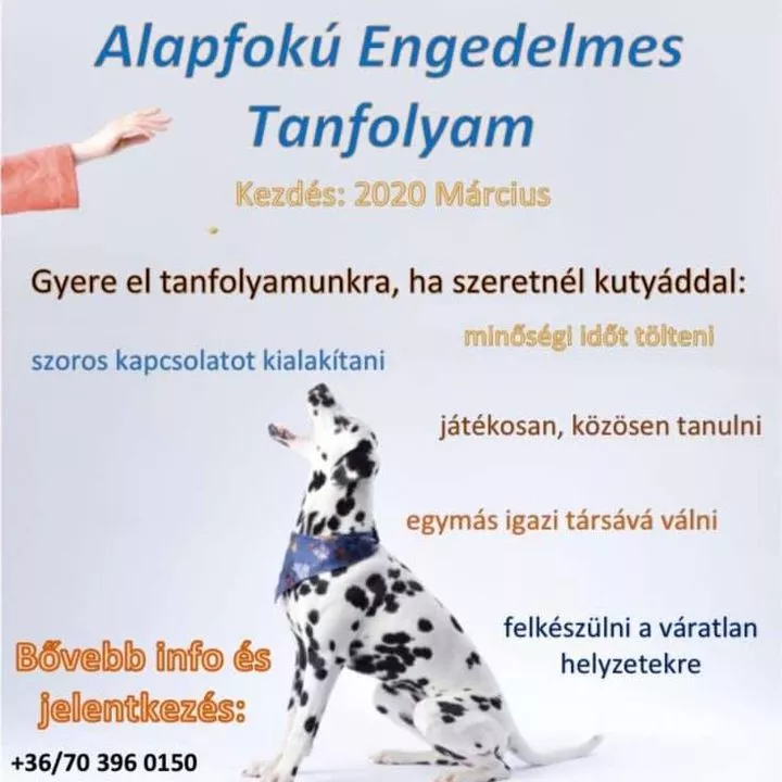Profilkép