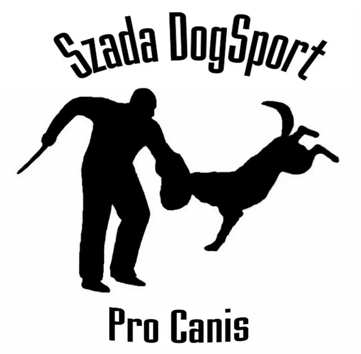 Profilkép