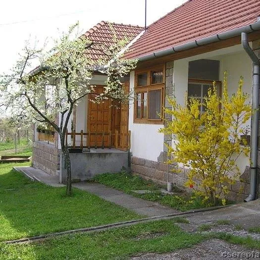Profilkép
