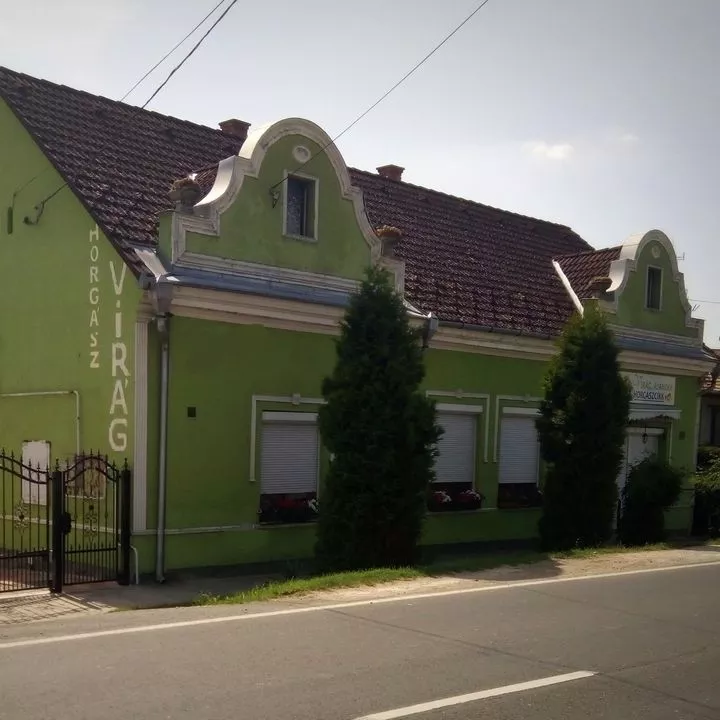 Profilkép