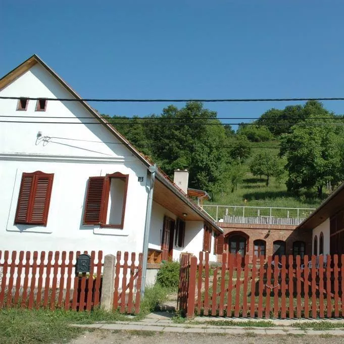 Profilkép