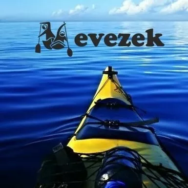 Profilkép