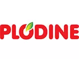 Profilkép