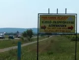 Profilkép