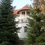 Profilkép