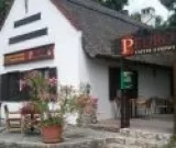Profilkép