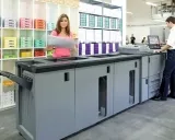 Profilkép